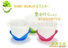 言語(yǔ)花盆與塑料花盆 創(chuàng)意家居日用品的促銷策略與價(jià)格分析
